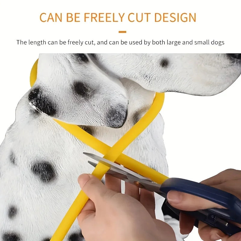 GlowSafe LED Dog Collar
