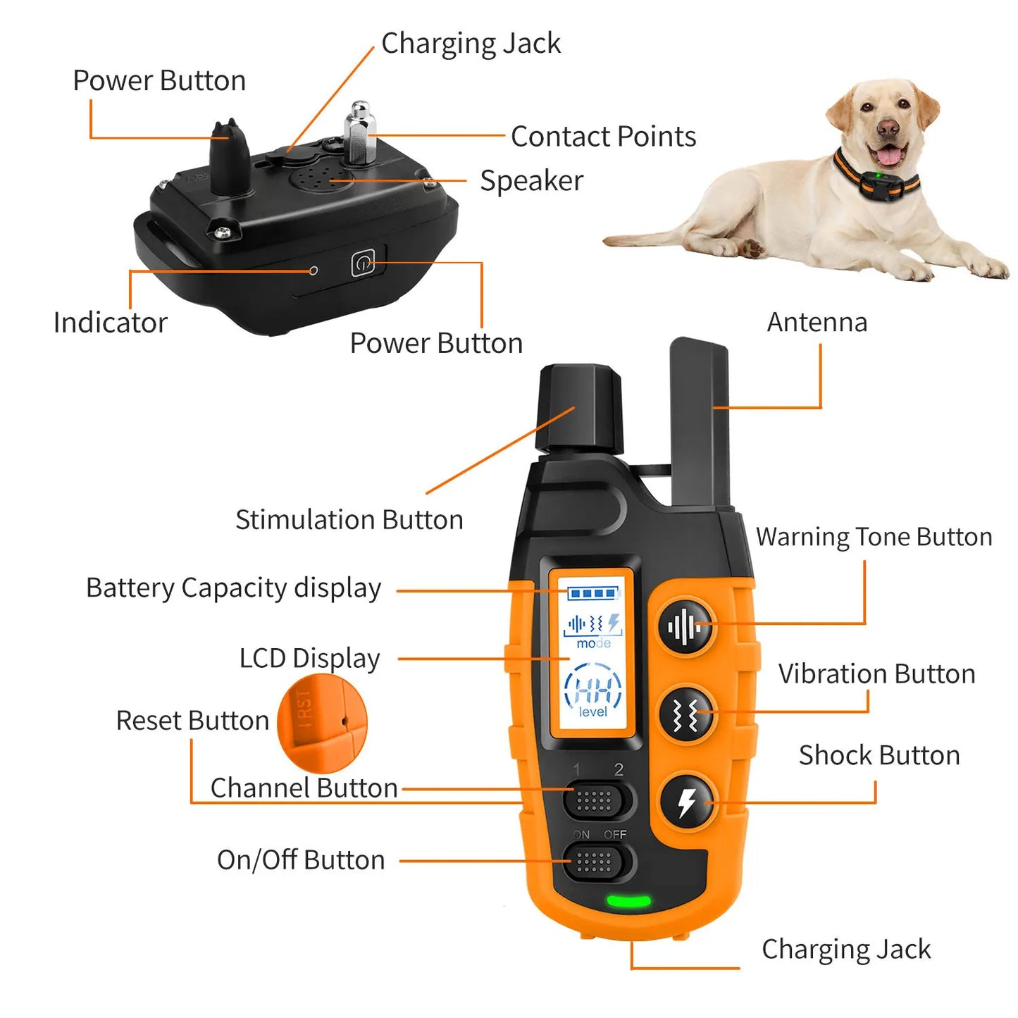 Remote Dog Training Collar