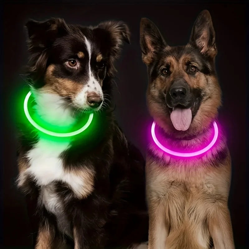 GlowSafe LED Dog Collar