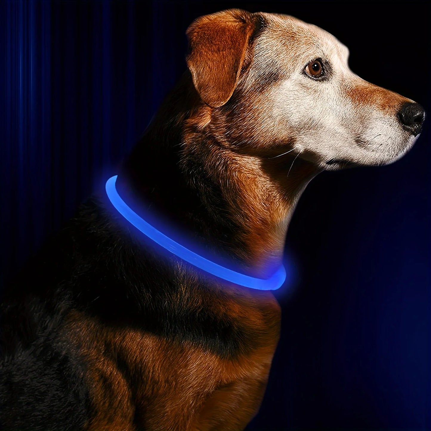 GlowSafe LED Dog Collar