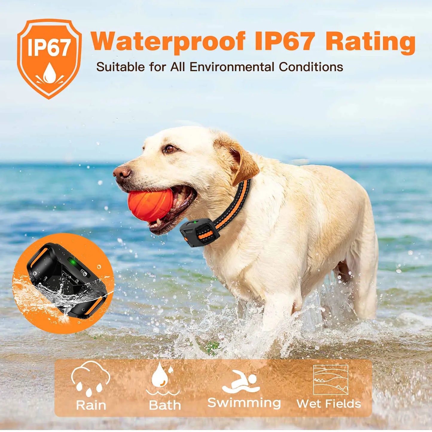 Remote Dog Training Collar