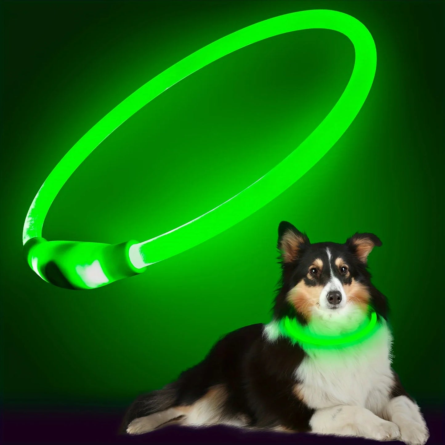 GlowSafe LED Dog Collar
