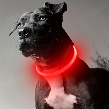 GlowSafe LED Dog Collar