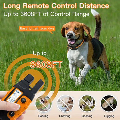 Remote Dog Training Collar