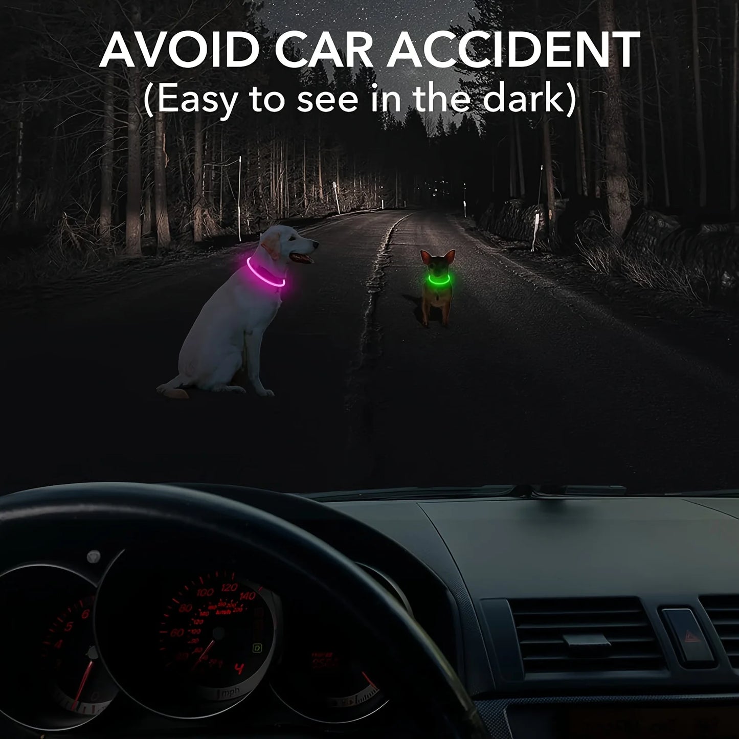 GlowSafe LED Dog Collar