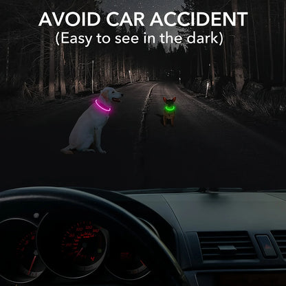 GlowSafe LED Dog Collar