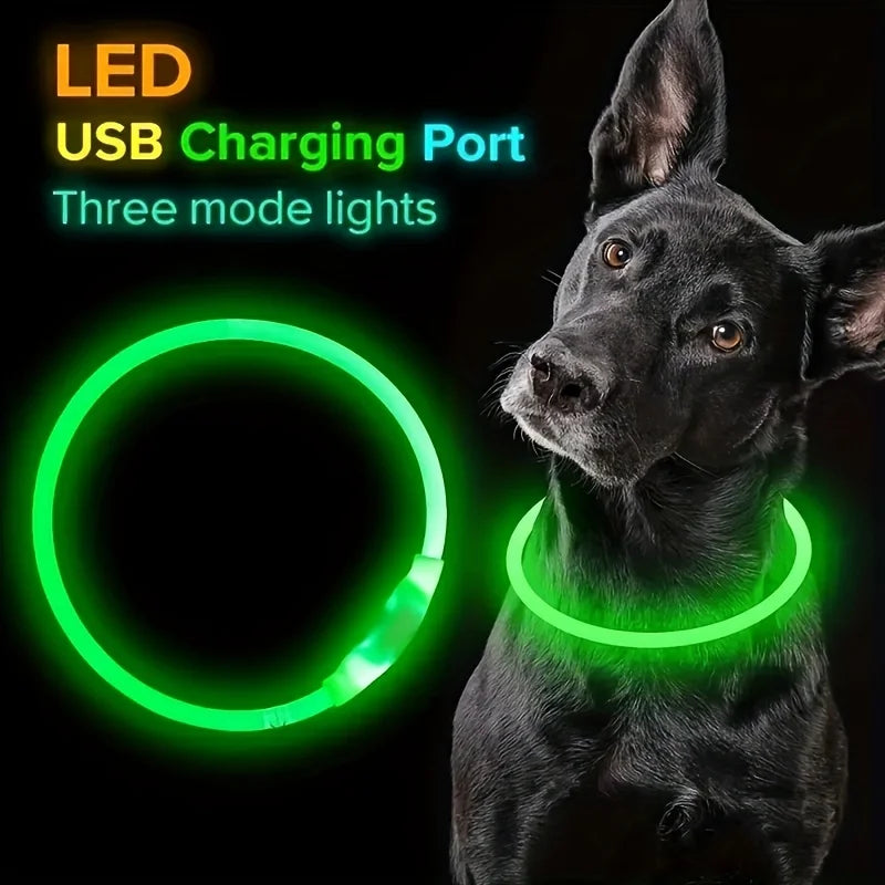 GlowSafe LED Dog Collar