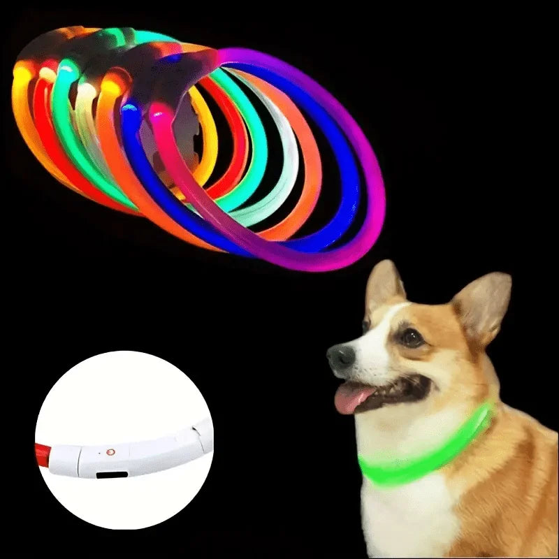 GlowSafe LED Dog Collar