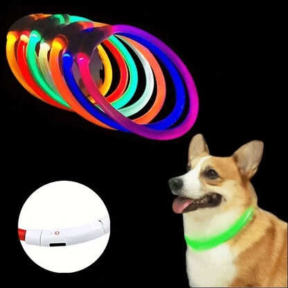 GlowSafe LED Dog Collar